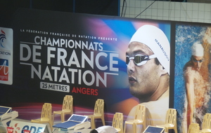 Les championnats de France à Angers en bassin de 25 mètres